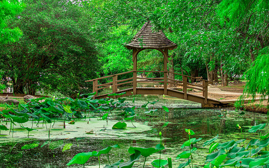 lucy park pavillion with green trees over pond with lily pads
