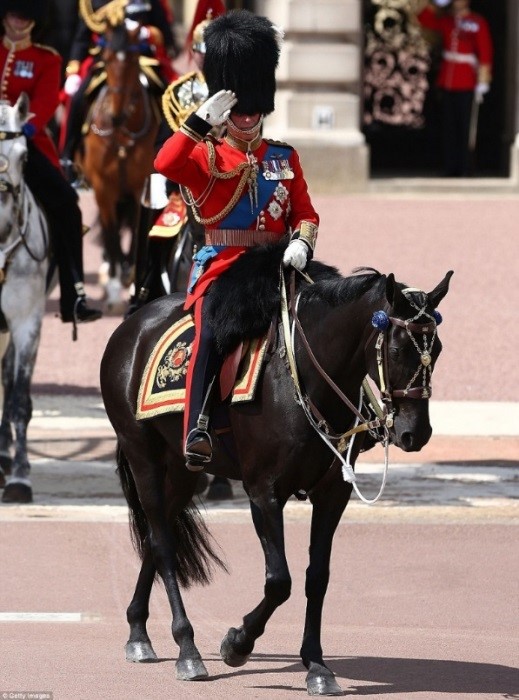 British soldier saluting on horse