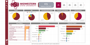 Demographics
