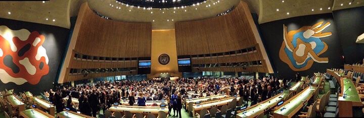 UN General Assembly