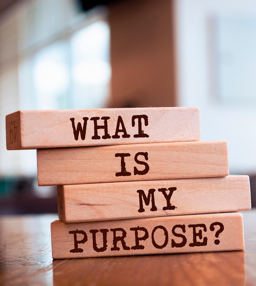 Wooden blocks with the words "what is my purpose" on them
