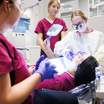 Pre-Dentistry
