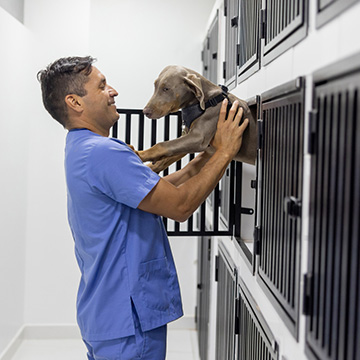 Pre-Veterinary