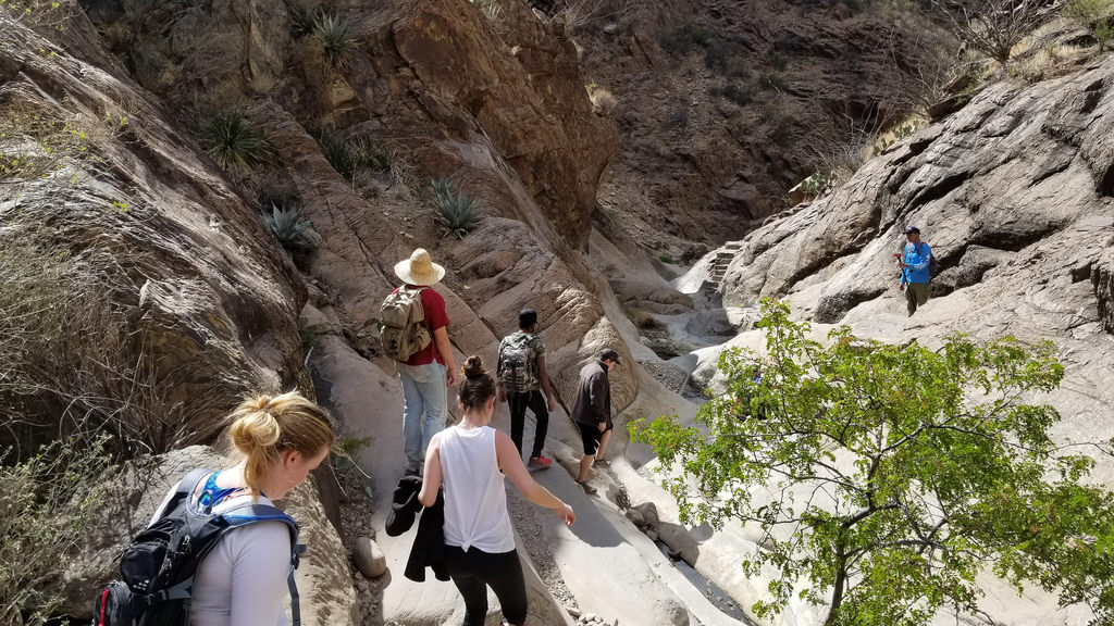 Students on the Structural Geology and Petrology field trip head back from the Window at Big Bend National Park.