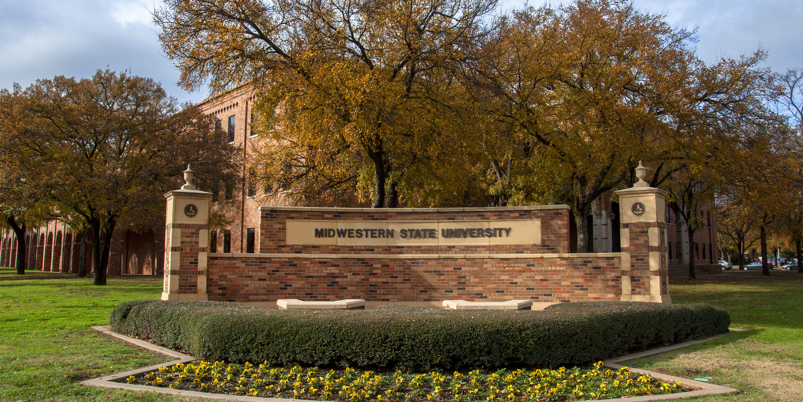 Admissions » MSU Texas