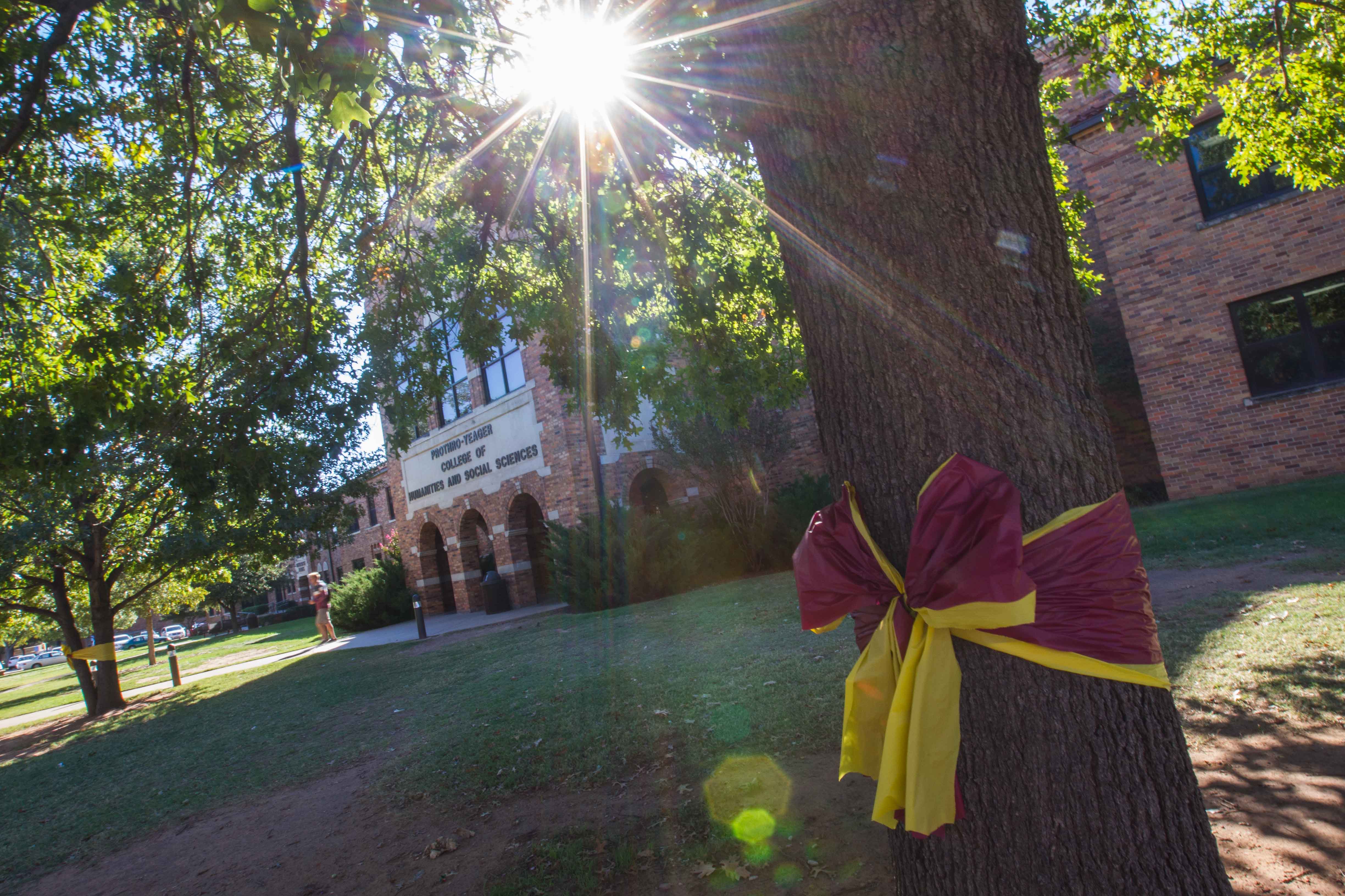 Large tree in the foreground with a large maroon and gold bow on it.  In the background there is a student walking out of the Prothro-Yeager College of Humanities and Social Sciences.