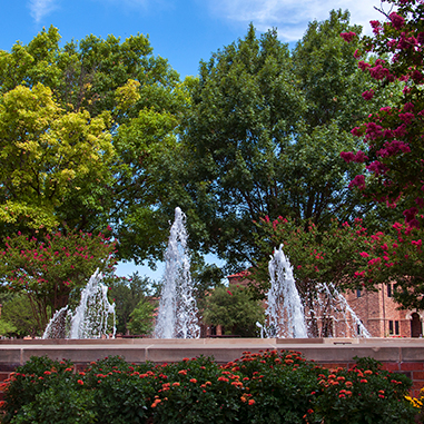 Spring flowers and trees bloom around Bolin Fountain in the quad.