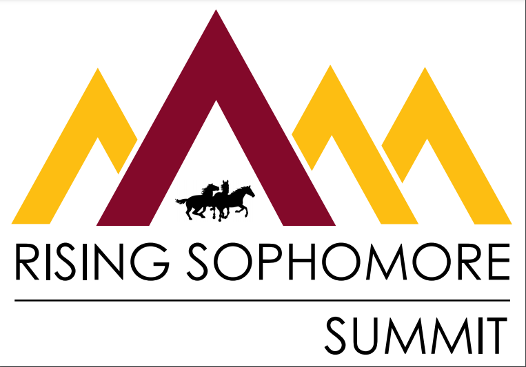 rising sophomore summit logo