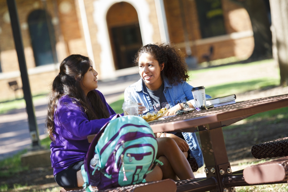 People Sitting at Picnic Table