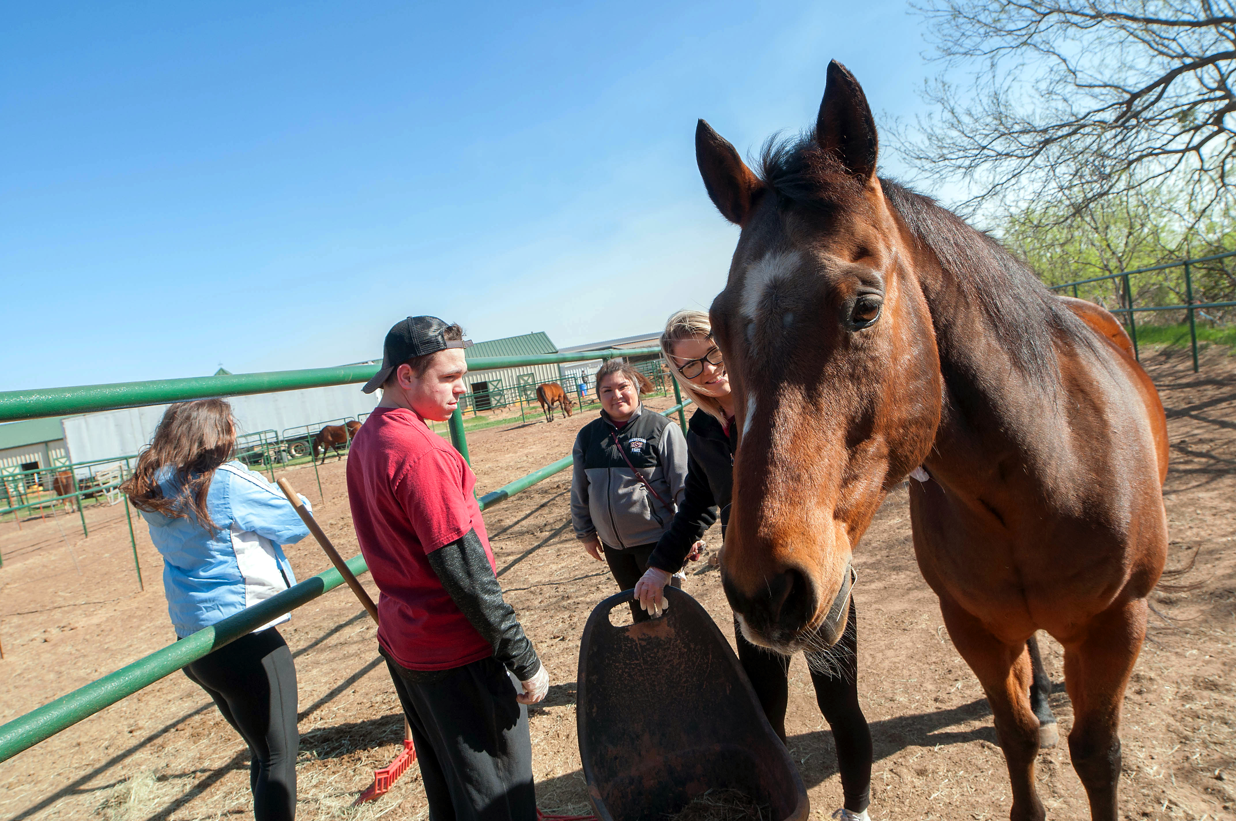 Four students petting and feeding a horse as they volunteer at Whispers of Hope
