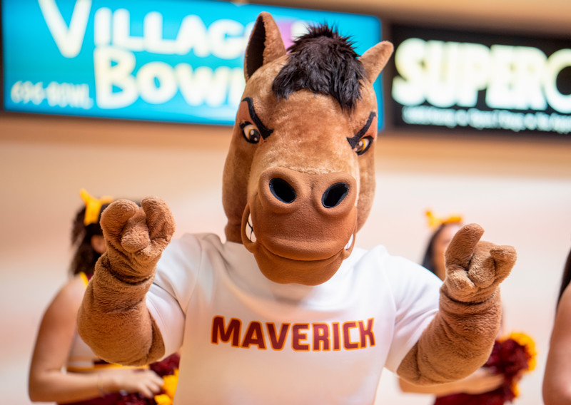 MSU Mascot Maverick